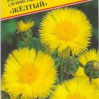 Семена Василек мускусный "Желтый" 10 шт, Престиж