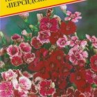 Семена Гвоздика китайская "Персидский ковер" 0,15 гр, Престиж