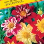 Семена Георгина изменчивая "Коларетта" 12 шт, Престиж