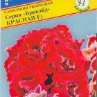 Семена Глоксиния "Брокэйд" Красная F1 10 др, Престиж