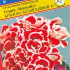 Семена Глоксиния "Брокэйд" Красная с каймой F1 10 др, Престиж