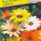 Семена Диморфотека "Пастельная Смесь" 0,02 гр, Престиж