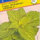 Семена Колеус "Фейерверк" Лимон F1 10 шт, Престиж