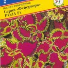 Семена Колеус "Фейерверк" Роза F1 10 шт, Престиж