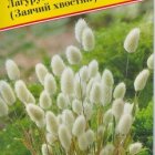 Семена Лагурус (заячий хвостик) 10 шт, Престиж