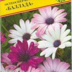 Семена Остеоспермум "Баллада" 5 шт, Престиж