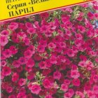 Семена Петуния амп.крцв. "Вельвет" Парпл F1 5 др, Престиж