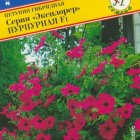 Семена Петуния амп.крцв."Эксплорер" Пурпурная F1 5 др, Престиж