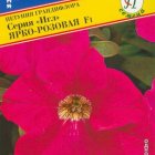 Семена Петуния гранд."Игл" Ярко-розовая F1 10 др, Престиж