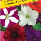 Семена Петуния гранд."Ультра"  Смесь F1 10 др, Престиж