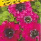 Семена Петуния превосходнейшая "Бордовая" 10 др, Престиж