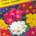 Семена Примула бесст."Данова" Смесь F1 5 шт, Престиж