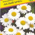 Семена Хризантема  наибольшая "Белый бриз" 10 шт, Престиж