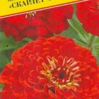 Семена Цинния изящная "Скарлет флейм" 20 шт, Престиж