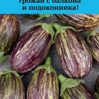 Семена Баклажан Полосатик (А) 5, Поиск