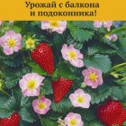 Семена Земляника Розовая мечта (А) 5, Поиск