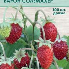 Семена Земляника ремонтантная Барон Солемахер (А) 100, Поиск