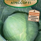 Семена Капуста белокочанная Агрессор F1 20, Поиск