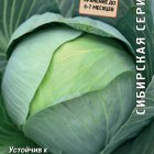 Семена Капуста белокочанная Вьюга 0,5, Поиск