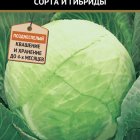 Семена Капуста белокочанная Лидер (А) 0,5, Поиск