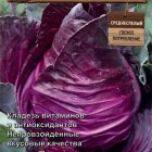 Семена Капуста краснокочанная Красное сердце (А) 0,1, Поиск