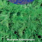 Семена Капуста японская Изумрудный узор (А) 0,5, Поиск