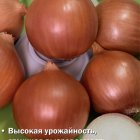 Семена Лук репчатый Классика (А) 1, Поиск