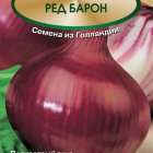 Семена Лук репчатый Ред Барон 1, Поиск