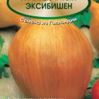 Семена Лук репчатый Эксибишен 0,5, Поиск