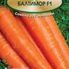 Семена Морковь Балтимор F1 0,5, Поиск