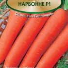 Семена Морковь Нарбонне F1 0,5, Поиск