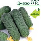 Семена Огурец Джокер 77 F1 (А) 12, Поиск