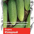 Семена Огурец Изящный 0,5, Поиск