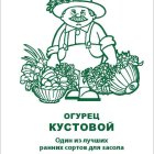 Семена Огурец Кустовой 0,5, Поиск