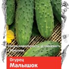 Семена Огурец Малышок (А) 0,5, Поиск