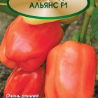 Семена Перец сладкий Альянс F1 (А) 12, Поиск