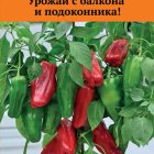 Семена Перец сладкий Кузя (А) 5, Поиск