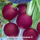 Семена Редис Виолетта (А) 2, Поиск