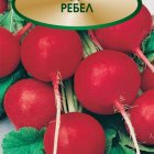 Семена Редис Ребел 2, Поиск