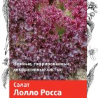 Семена Салат Лолло Росса 1, Поиск