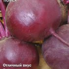 Семена Свекла столовая Бордовая звезда (А) 3, Поиск