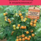 Семена Томат Оранжевая шапочка (А) 5, Поиск