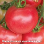 Семена Томат Розалина (А) 0,1, Поиск