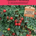 Семена Томат Рябиновые бусы (А) 5, Поиск