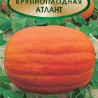 Семена Тыква крупноплодная Атлант 5, Поиск