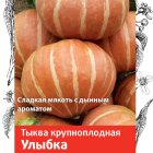 Семена Тыква крупноплодная Улыбка 3, Поиск