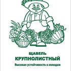 Семена Щавель Крупнолистный 1, Поиск