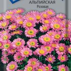 Семена Астра альпийская Розовая 0,04, Поиск