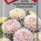 Семена Астра Валентинов день Лососево-розовая 0,2, Поиск