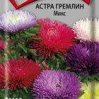 Семена Астра гремлин Микс 0,3, Поиск